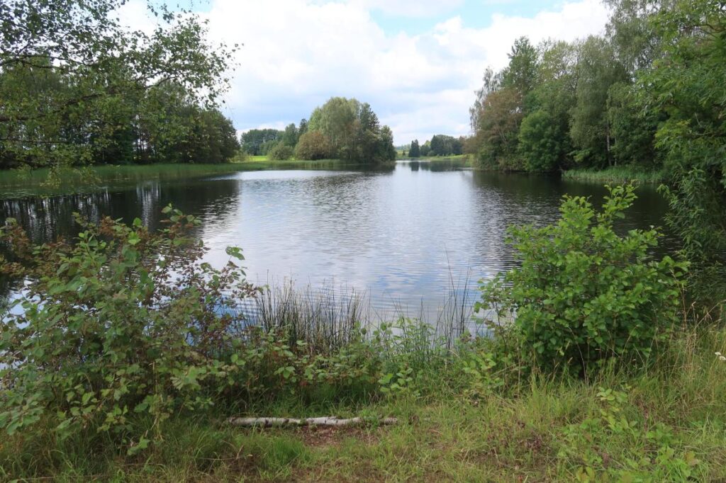 Muraka paisjärv 2025