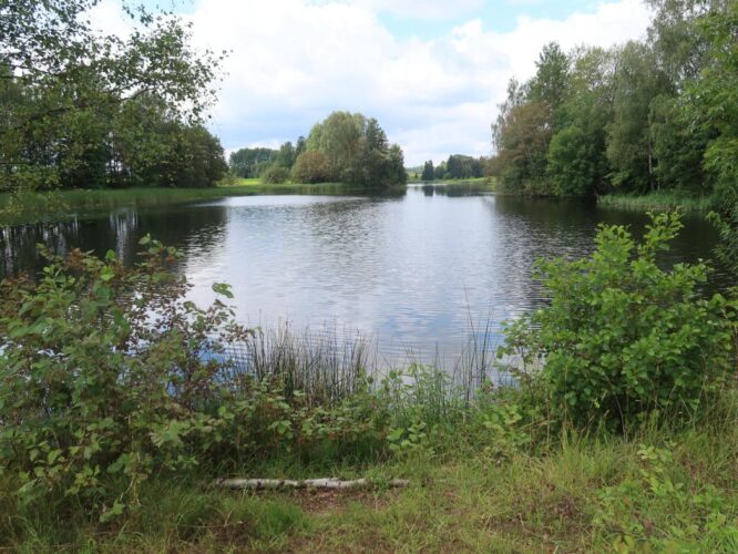 Muraka paisjärv 2025