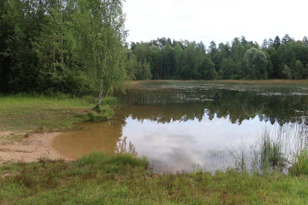 Saarepeedi karjäär 2025