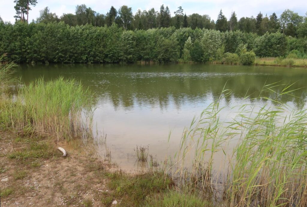 Varesemägede karjäär 2025