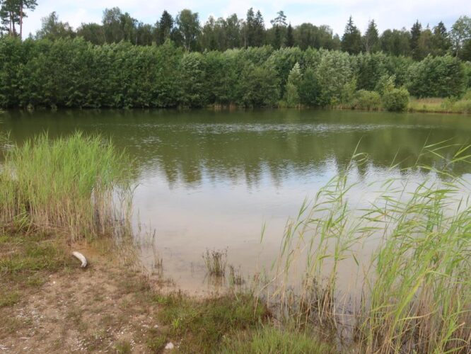 Varesemägede karjäär 2025