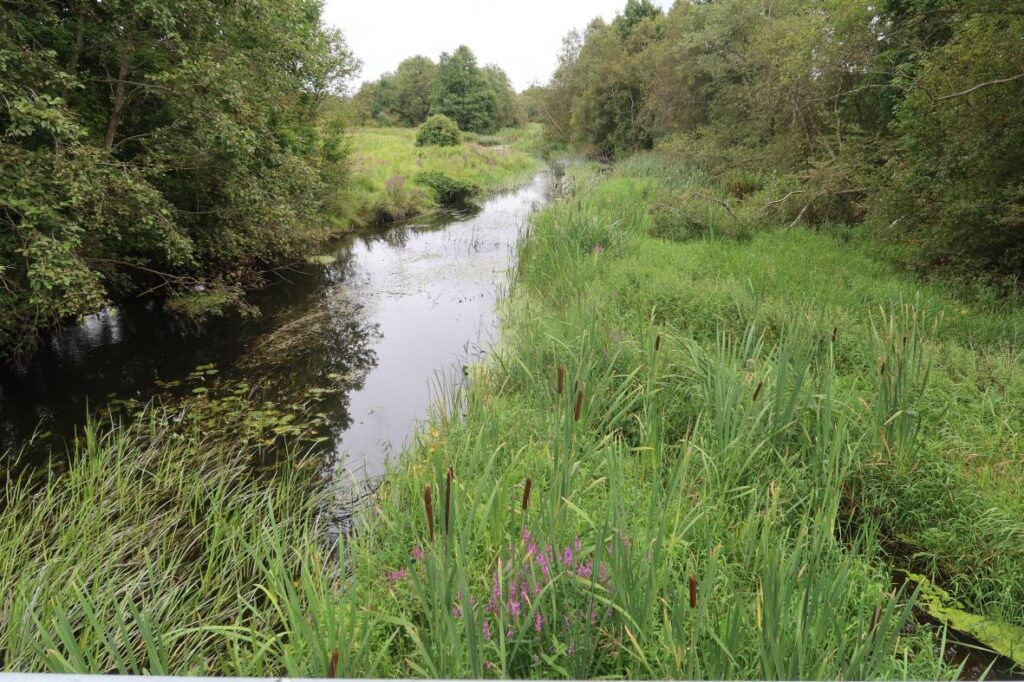 Tänassilma jõgi 2025