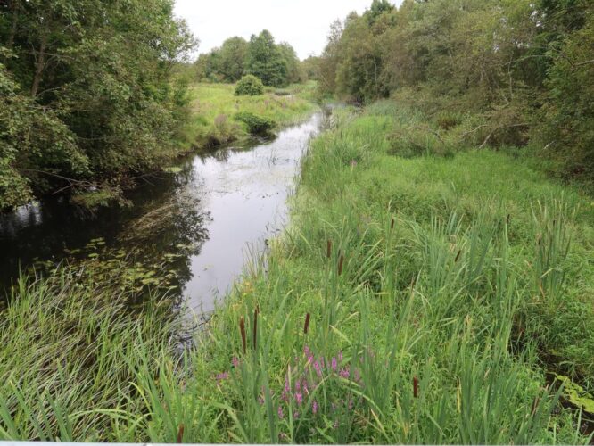 Tänassilma jõgi 2025