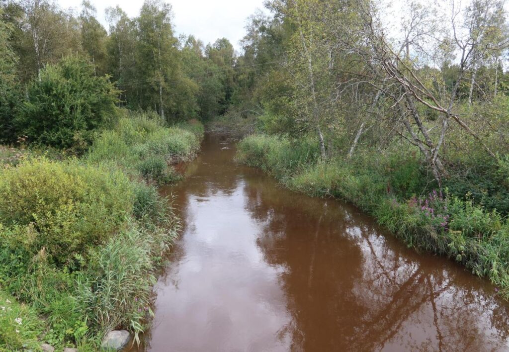 Vihterpalu jõgi 2025