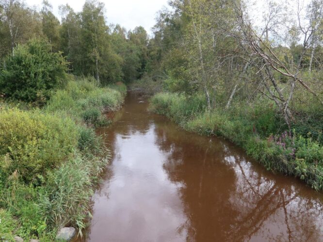 Vihterpalu jõgi 2025