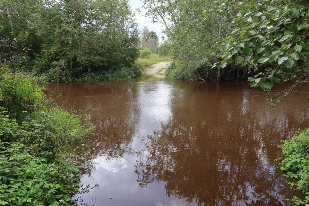 Vihterpalu jõgi 2025