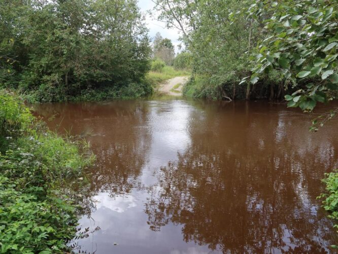 Vihterpalu jõgi 2025