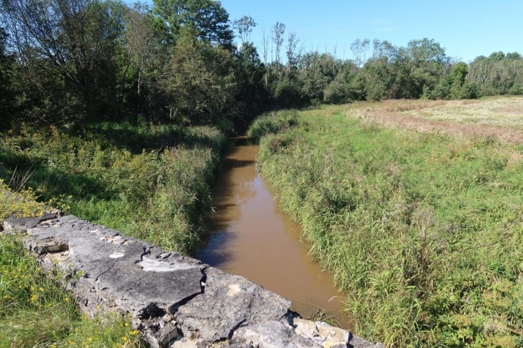 Rannamõisa jõgi 2025