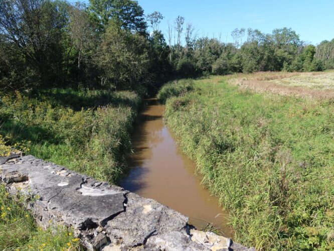 Rannamõisa jõgi 2025