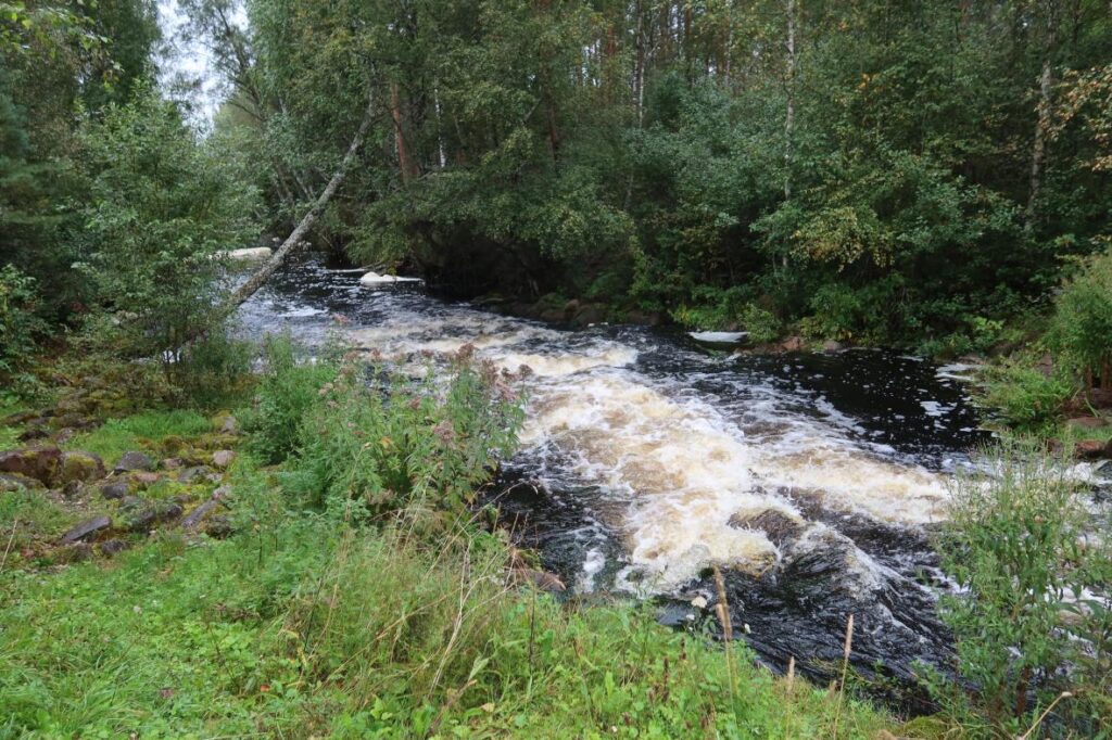 Põltsamaa jõgi 2025