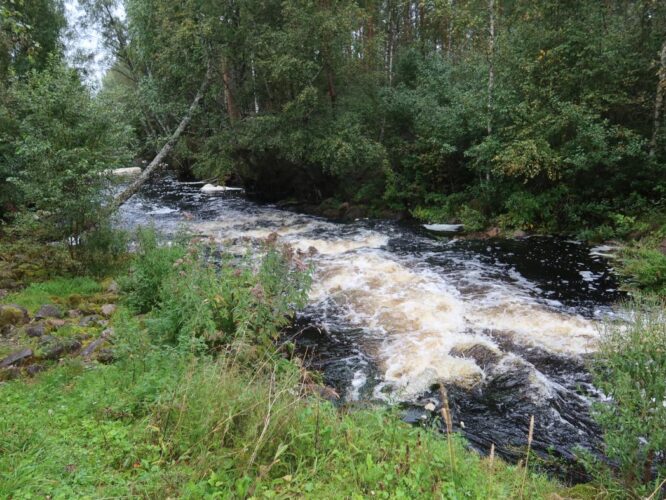 Põltsamaa jõgi 2025