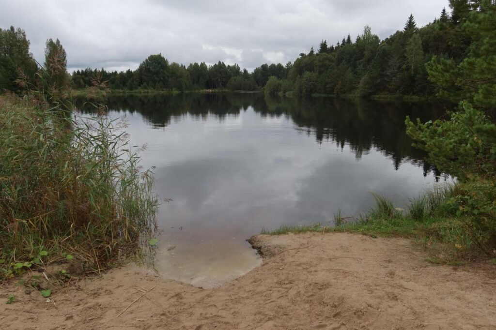 Vahessaare tehisjärv 2025