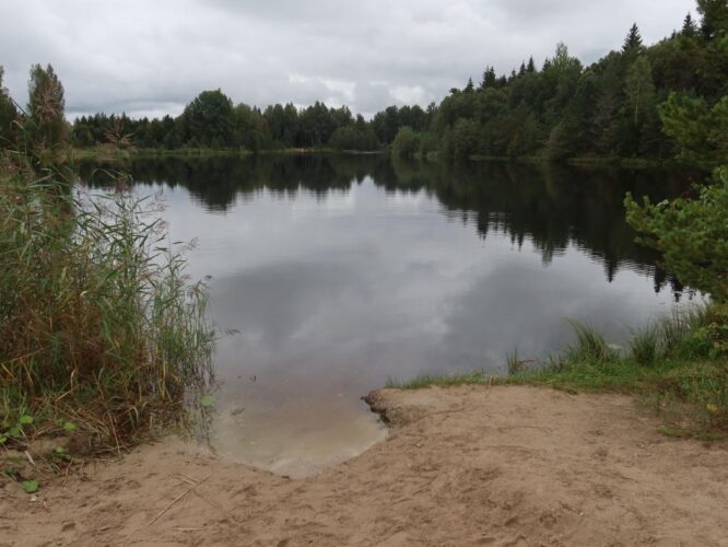 Vahessaare tehisjärv 2025