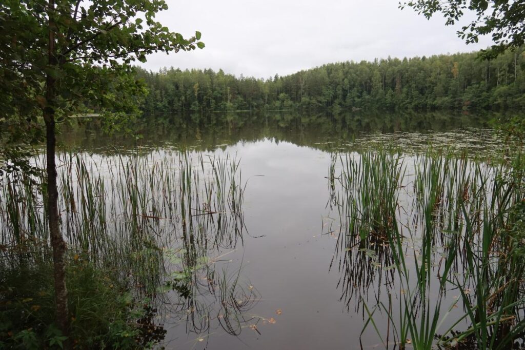 Jussi Väinjärv 2025