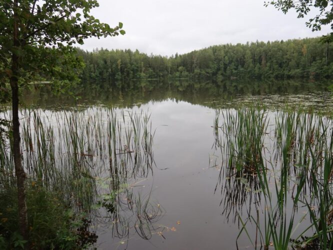 Jussi Väinjärv 2025