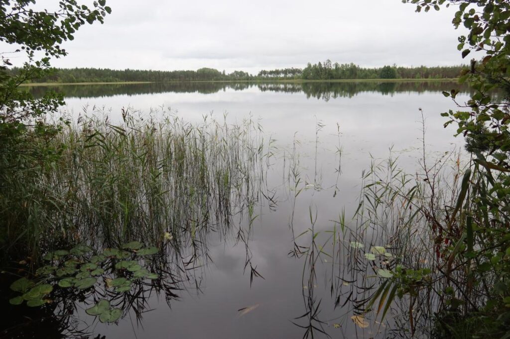 Jussi Suurjärv 2025