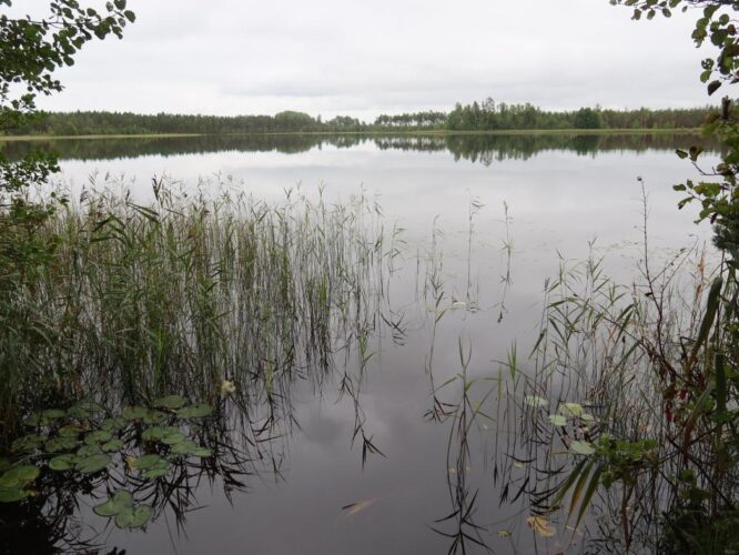 Jussi Suurjärv 2025