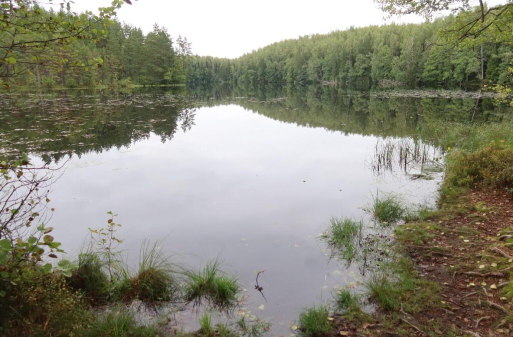 Jussi Pikkjärv 2025