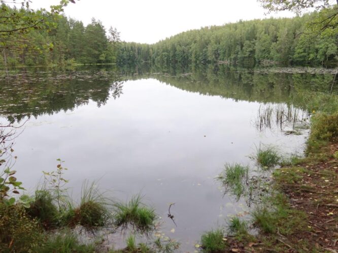 Jussi Pikkjärv 2025