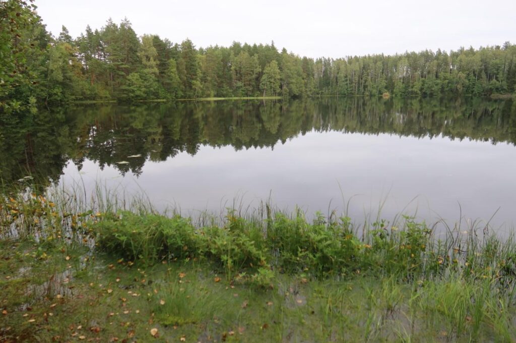 Jussi Kõverjärv 2025