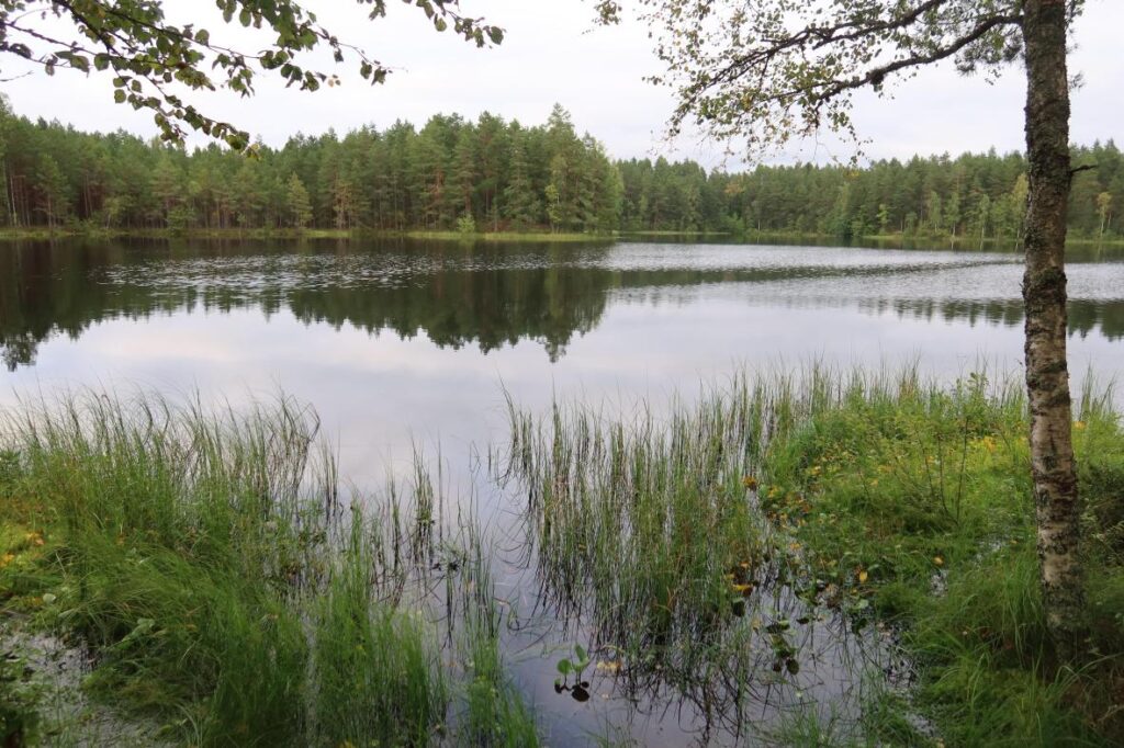 Jussi Linajärv 2025