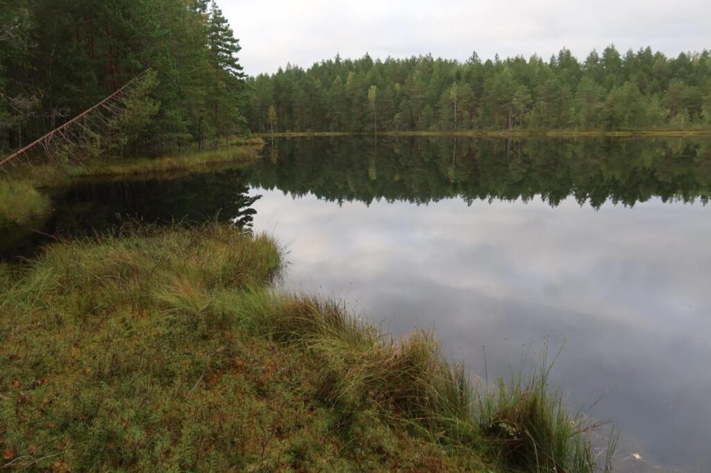 Jussi Mustjärv 2025