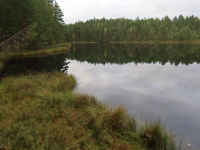 Jussi Mustjärv 2025