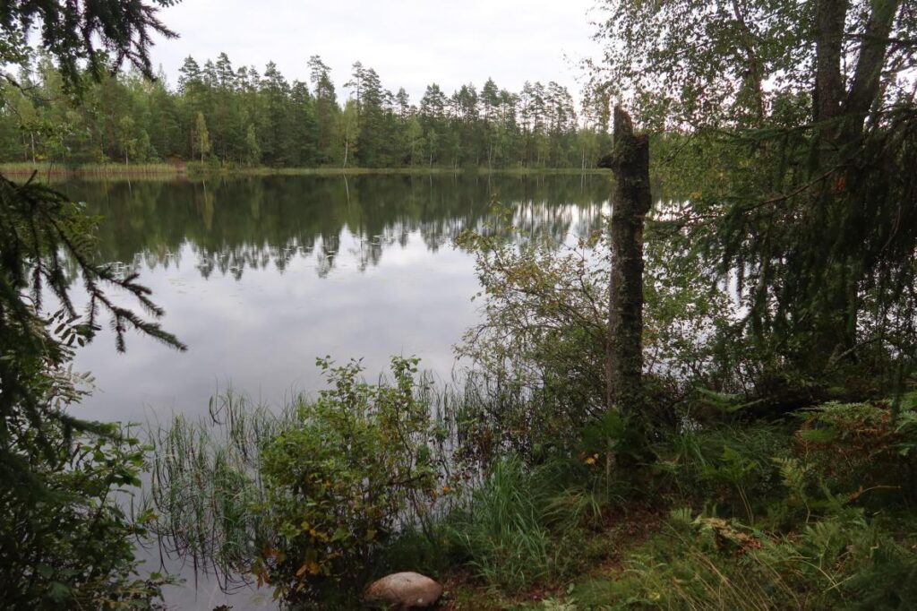 Mähuste järv 2025