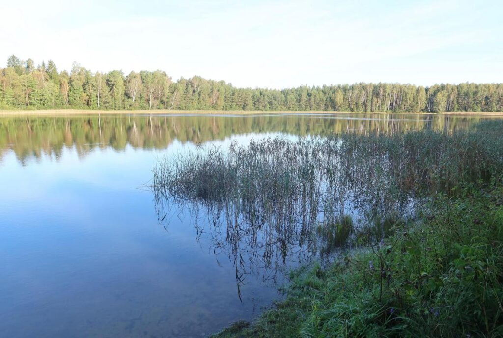 Kurtna Nõmmejärv 2025