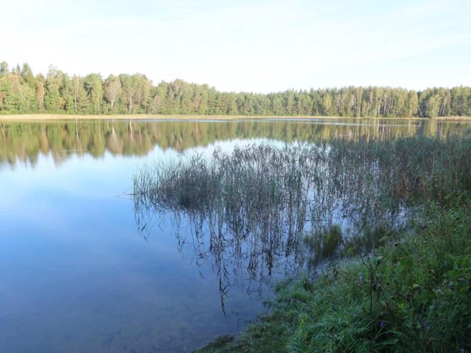 Kurtna Nõmmejärv 2025