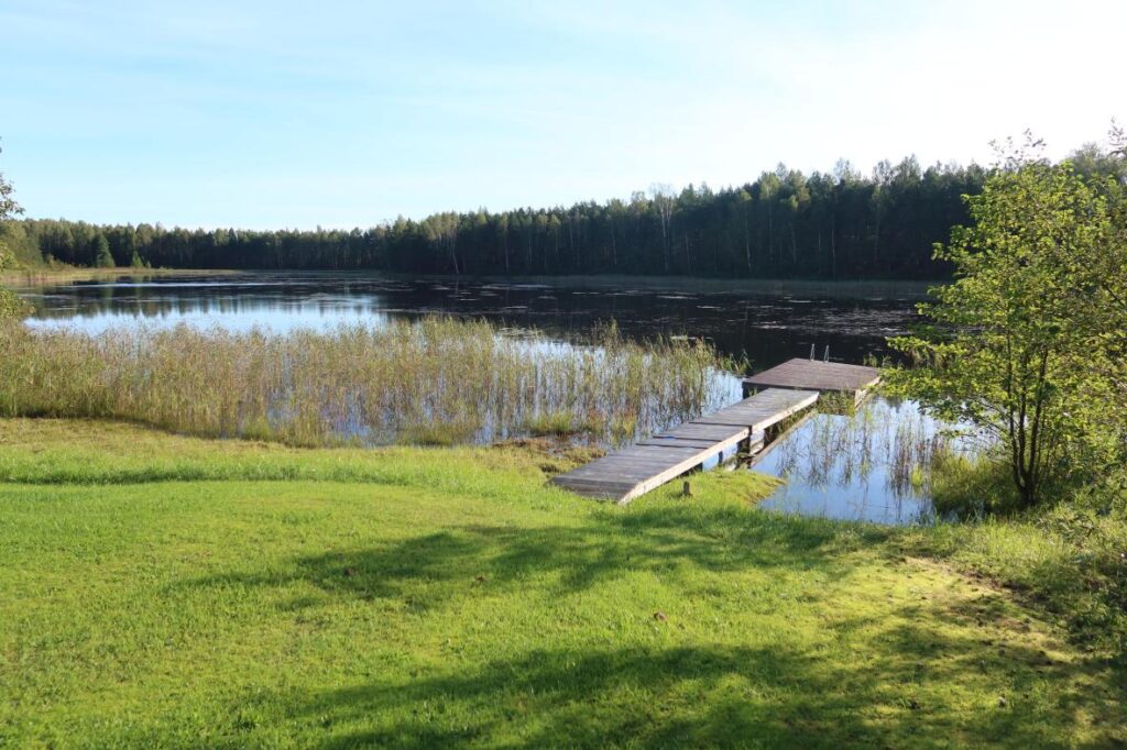 Niinsaare järv 2025