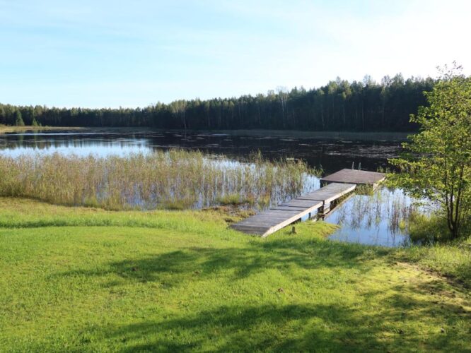 Niinsaare järv 2025