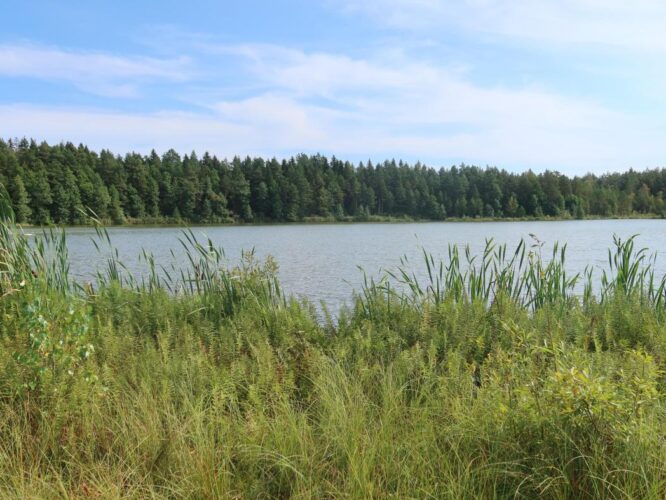 Jõemõisa Särgjärv 2025