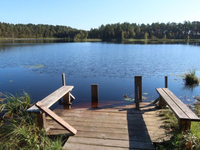 Parika Väikejärv 2025