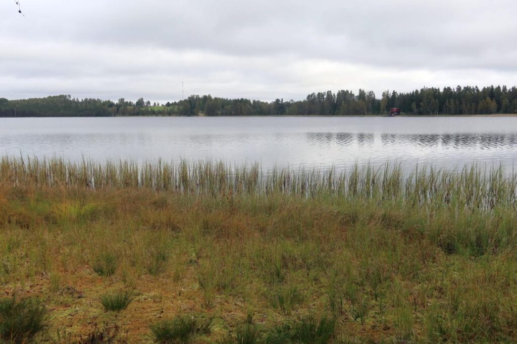 Kirikumäe järv 2025
