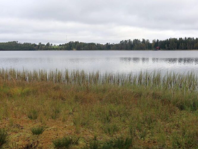 Kirikumäe järv 2025