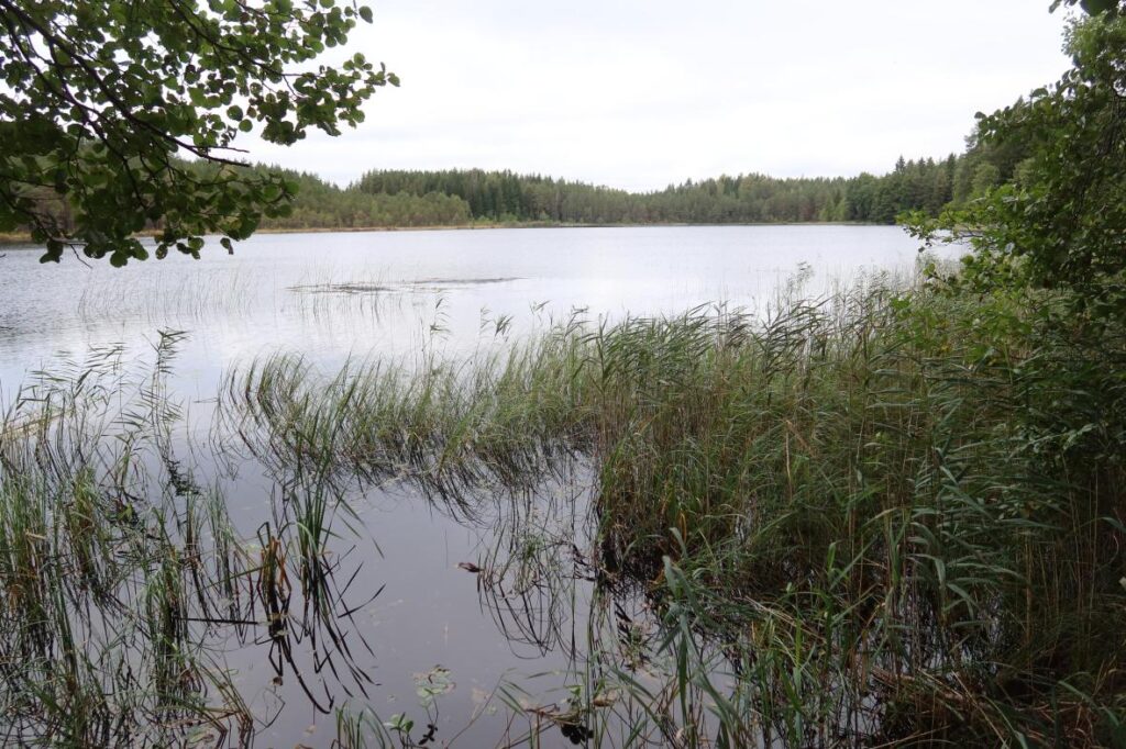 Sõdaalonõ järv 2025