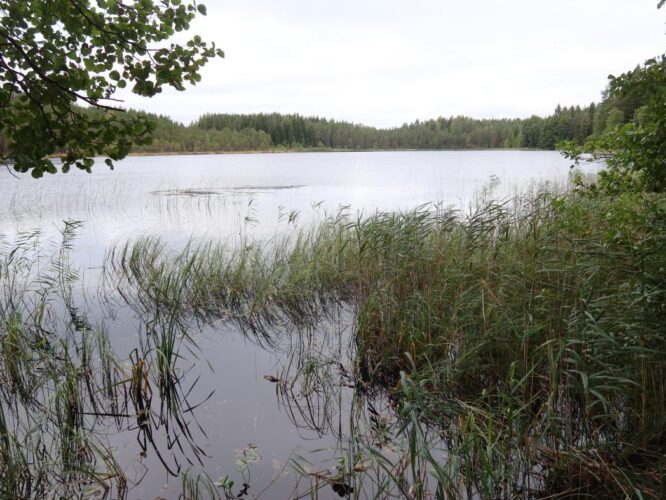 Sõdaalonõ järv 2025