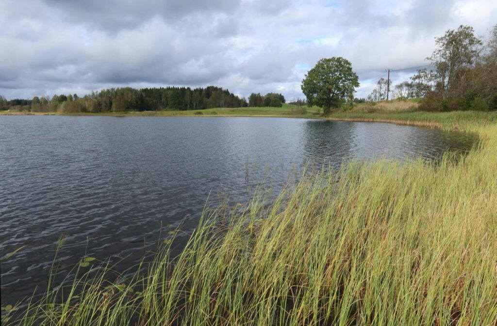 Plaani Küläjärv 2025