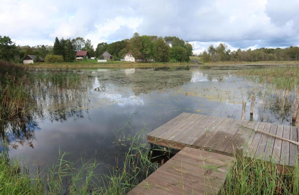 Saaluse Alajärv 2025