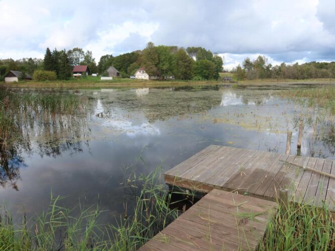 Saaluse Alajärv 2025