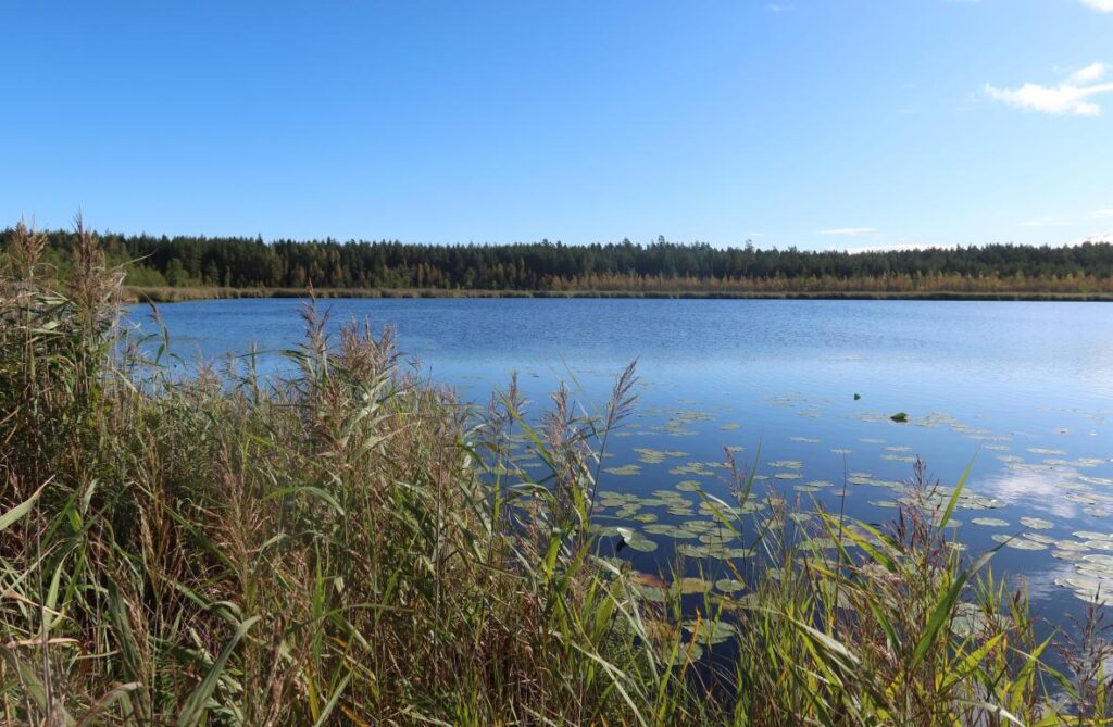 Väiku-Apja järv 2025