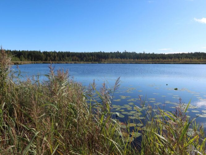 Väiku-Apja järv 2025