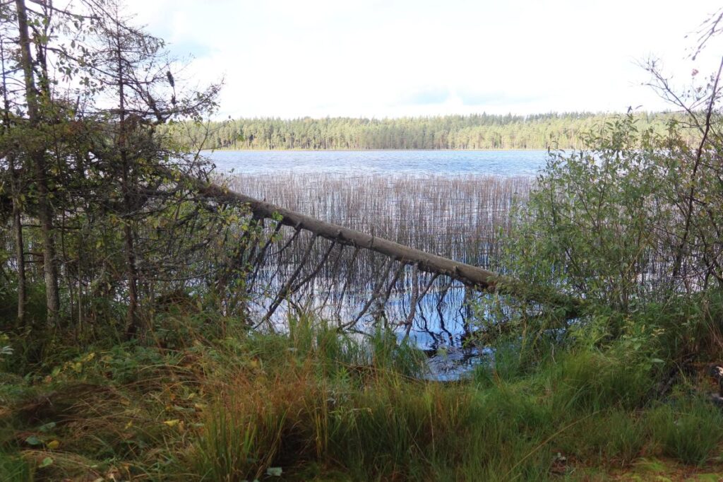 Suur-Apja järv 2025