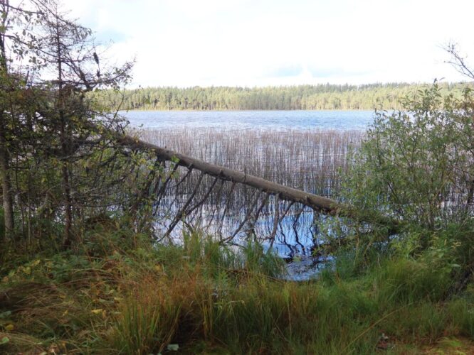 Suur-Apja järv 2025