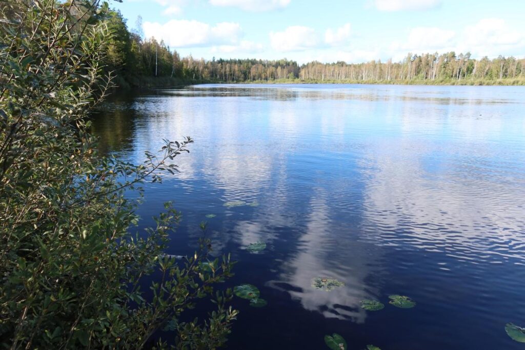Väikene Pehmejärv 2025