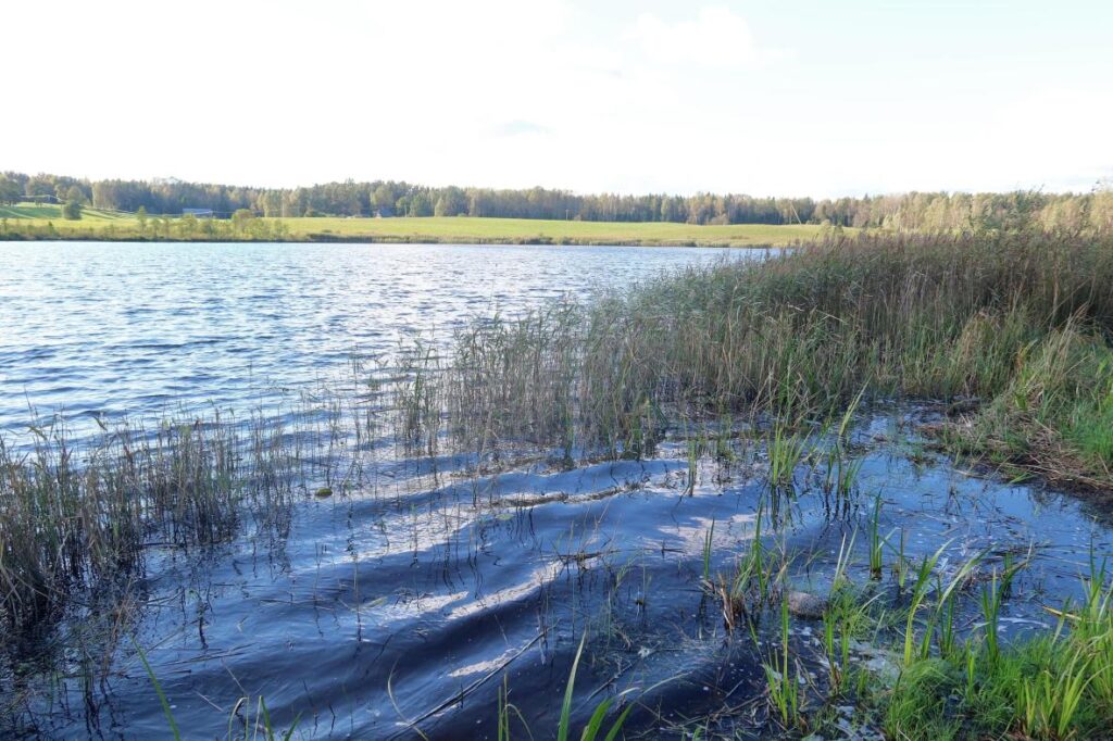 Mikilä järv 2025
