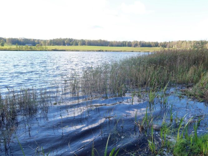Mikilä järv 2025
