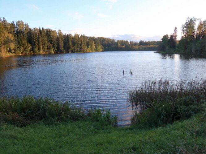 Pülme järv 2025