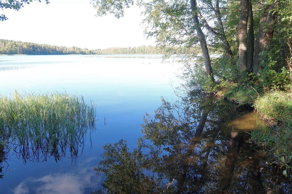 Kuningvere järv 2025